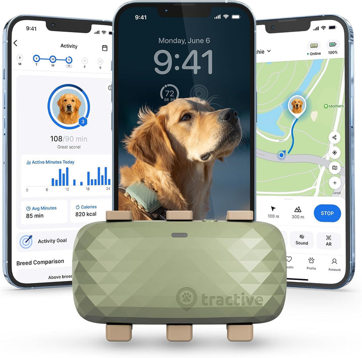 Dog GPS Tracker with Virtual Fence & Heart Rate Monitor – Tractive XL (Green)