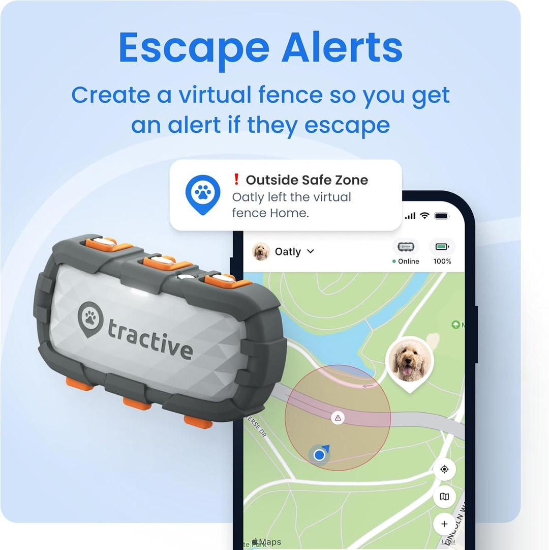 Dog GPS Tracker with Virtual Fence & Heart Rate Monitor – Tractive XL (Green)