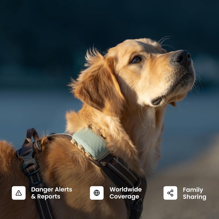 Dog GPS Tracker with Virtual Fence & Heart Rate Monitor – Tractive XL (Green)