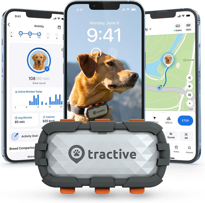 Dog GPS Tracker with Virtual Fence & Heart Rate Monitor – Tractive XL (Green)