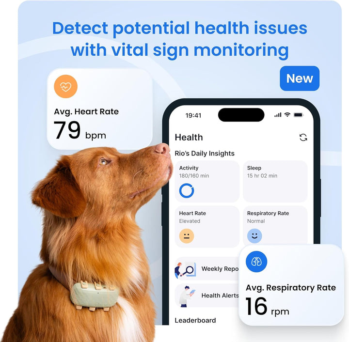 Dog GPS Tracker with Virtual Fence & Heart Rate Monitor – Tractive XL (Green)