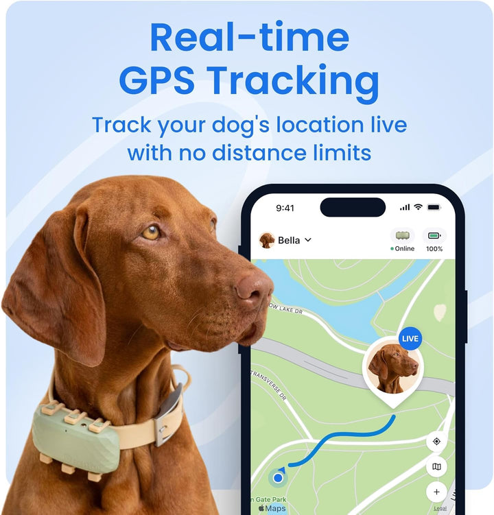 Dog GPS Tracker with Virtual Fence & Heart Rate Monitor – Tractive XL (Green)