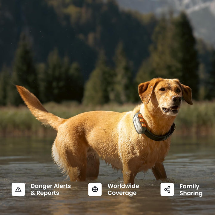 Dog GPS Tracker with Virtual Fence & Heart Rate Monitor – Tractive XL (Green)