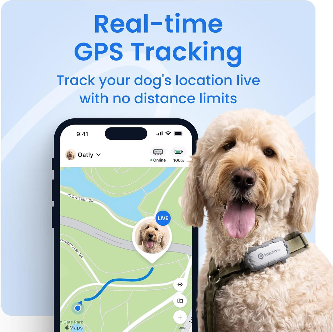 Dog GPS Tracker with Virtual Fence & Heart Rate Monitor – Tractive XL (Green)