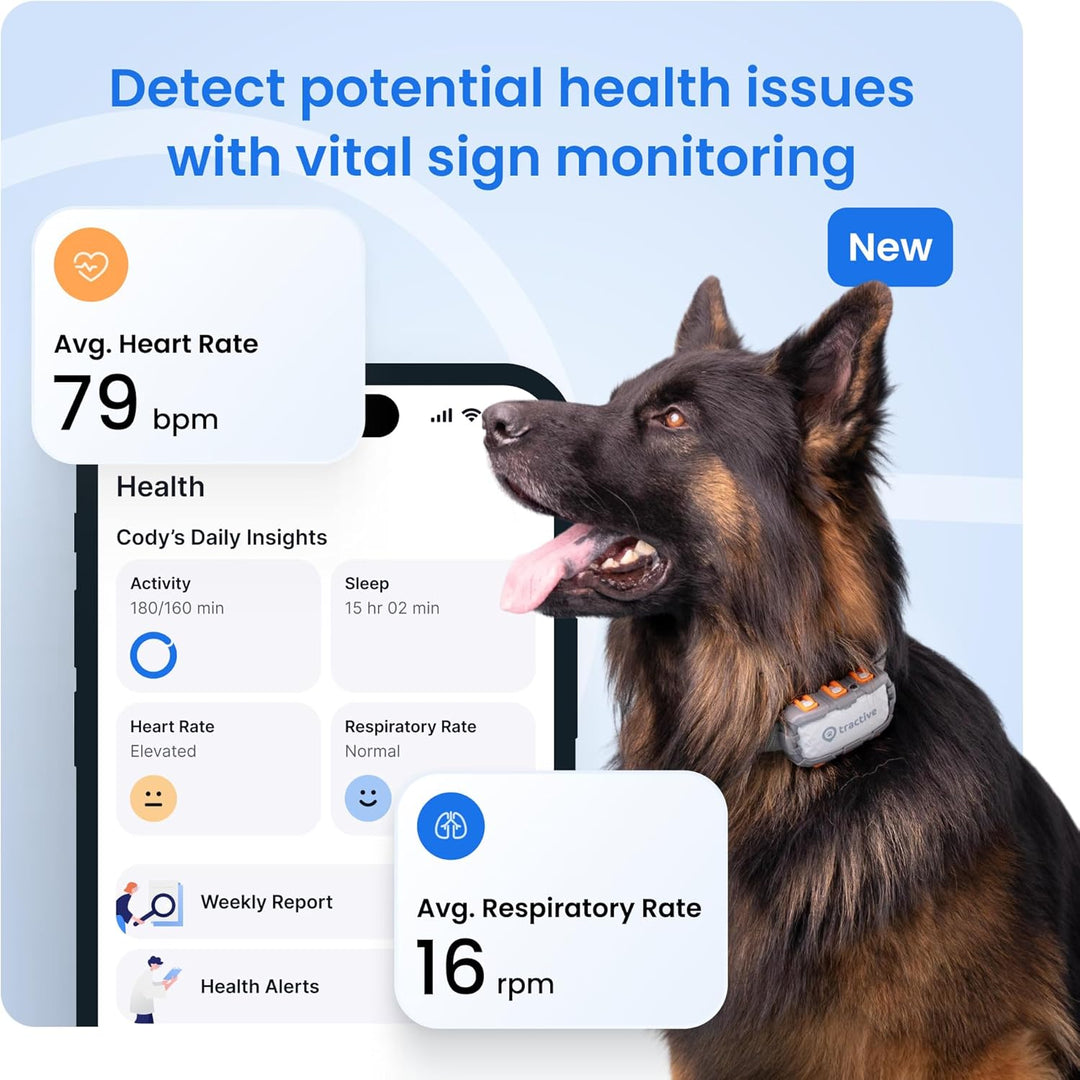 Dog GPS Tracker with Virtual Fence & Heart Rate Monitor – Tractive XL (Green)