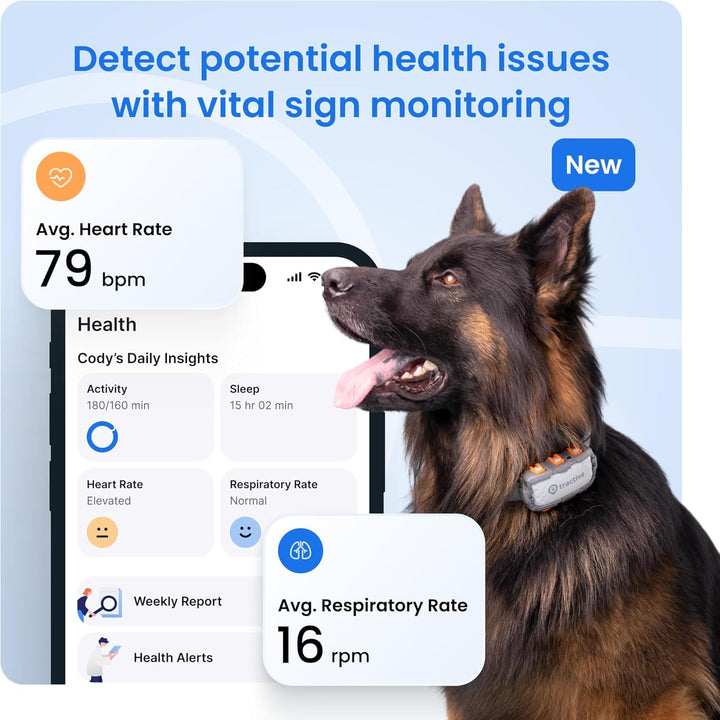 Dog GPS Tracker with Virtual Fence & Heart Rate Monitor – Tractive XL (Green)