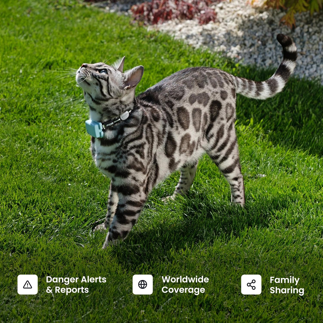 Tractive Smart Cat GPS Tracker – Real-Time Location & Wellness Monitor (Dark Blue)