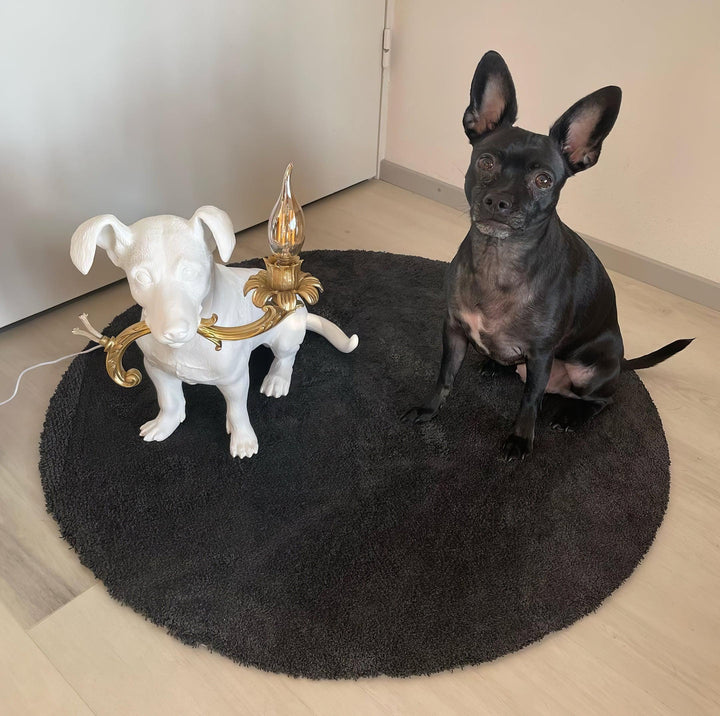Rio Dog Table Lamp