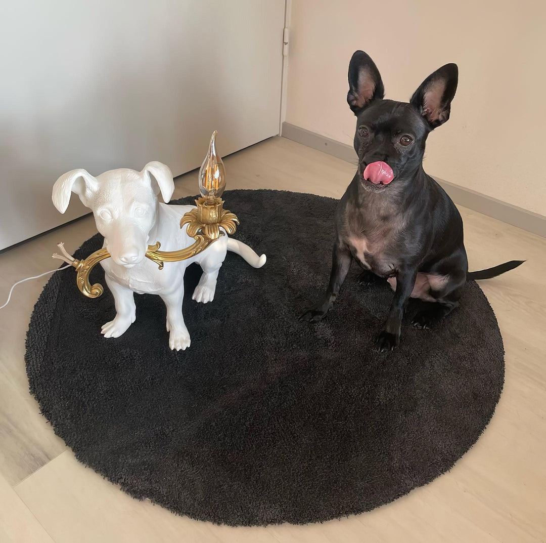 Rio Dog Table Lamp